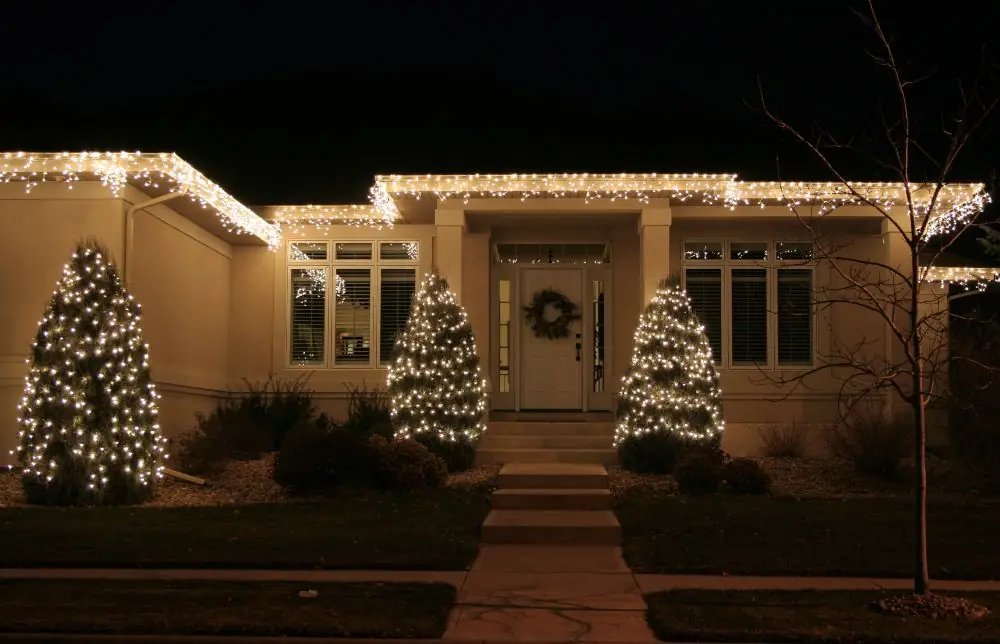 Home with warm white roofline lights and wrapped trees in Edmonds, WA