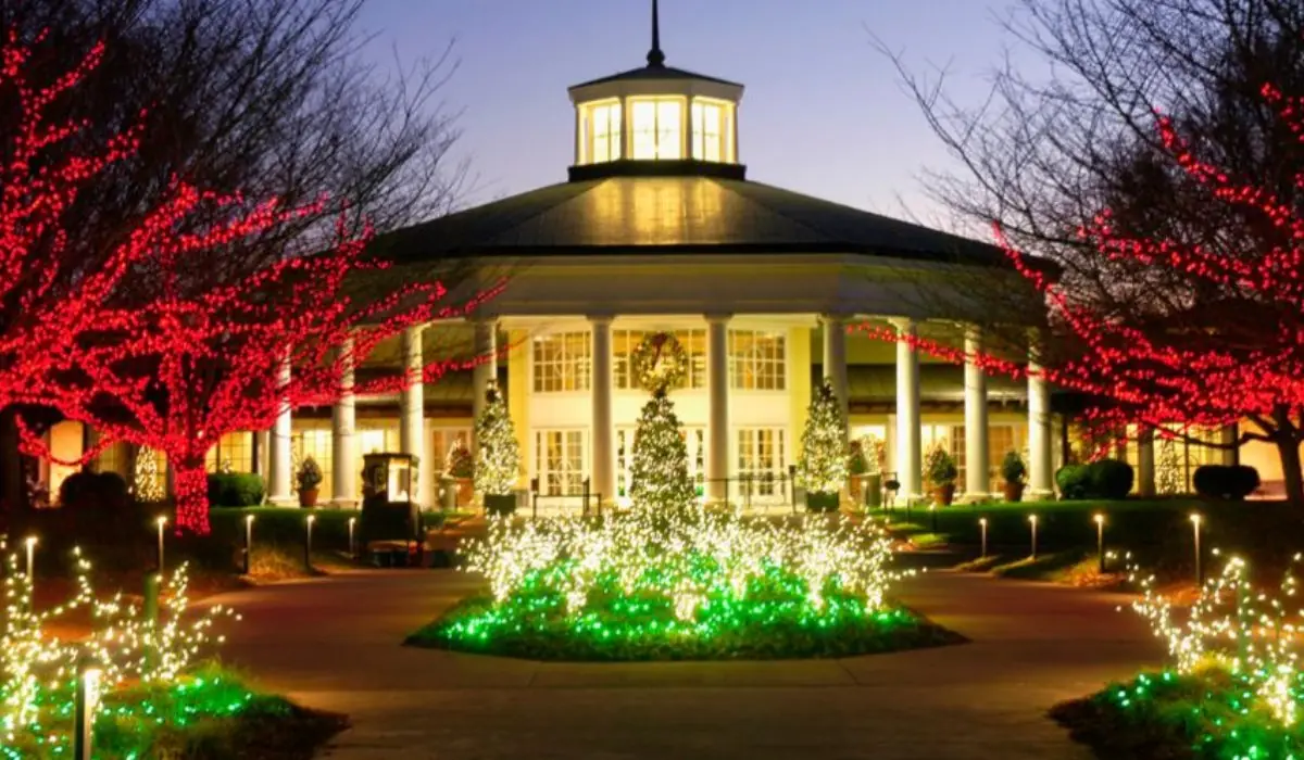 Commercial building entrance outlined in LED holiday lighting with lit shrubs